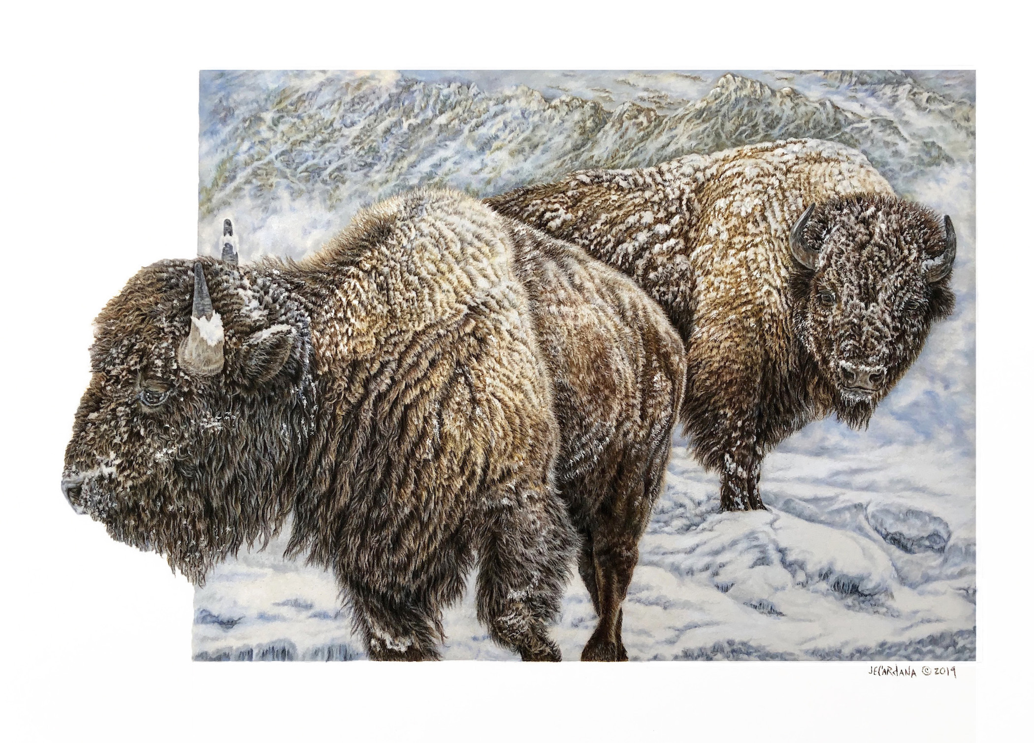 "Winter Sentinels" 18 x 24" Original colored pencil ; also available signed limited edition giclee prints