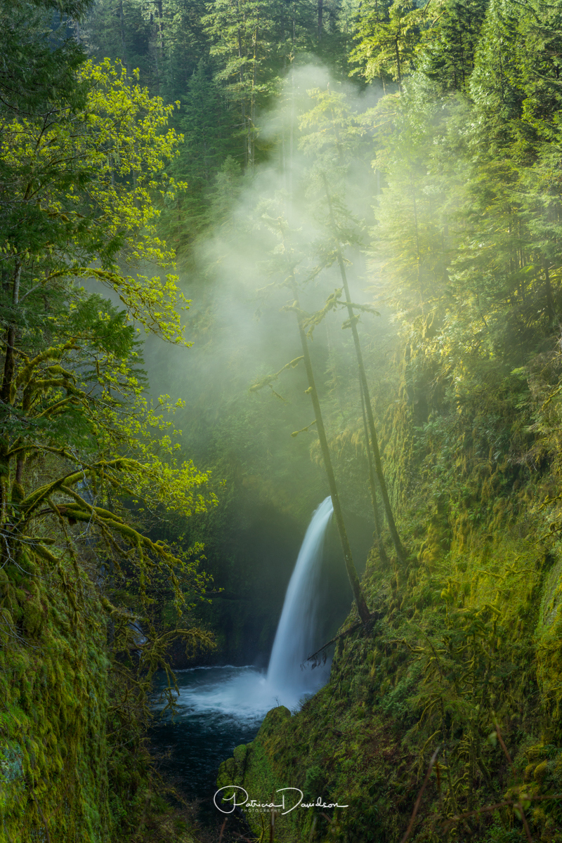 Misty Metlako ~ Columbia River Gorge, Oregon