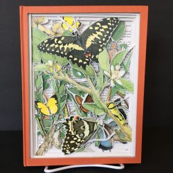 Southern African Butterflies Book Carving