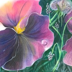 Purple Petunias: 4x6 inch print