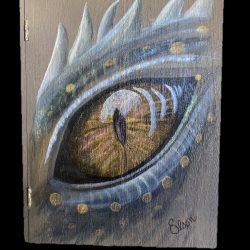 Dragon's Eye Dice Box: Looks like a book; felted inside for dice throwing; heavy duty magnet closure; bag for dice storage