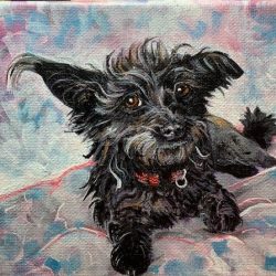 PHOEBE- Commissioned Dog Portrait by Jeannie Hemming