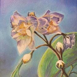 Mock Orange Blossoms, 5x7 Acrylic on Canvas (AVAILABLE)