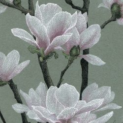 Magnolia Melody - colored pencil & ink, 5" x 7"