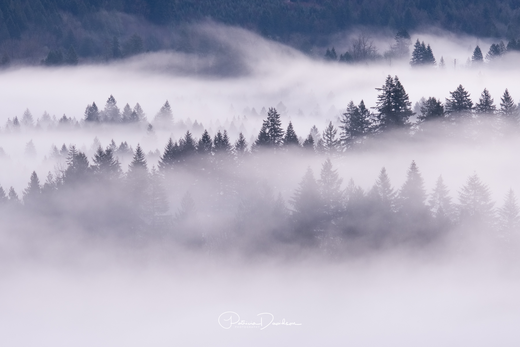 Just Breathe - Oregon