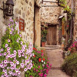 Rue d'Arles, Provence Region, France